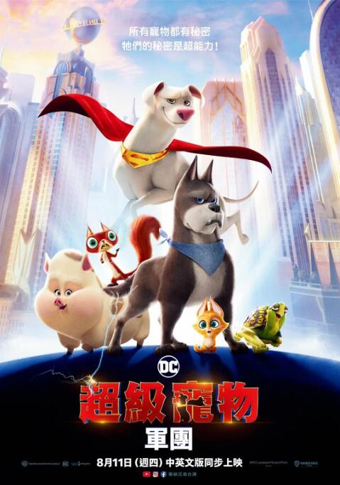 成年人视频在线播放